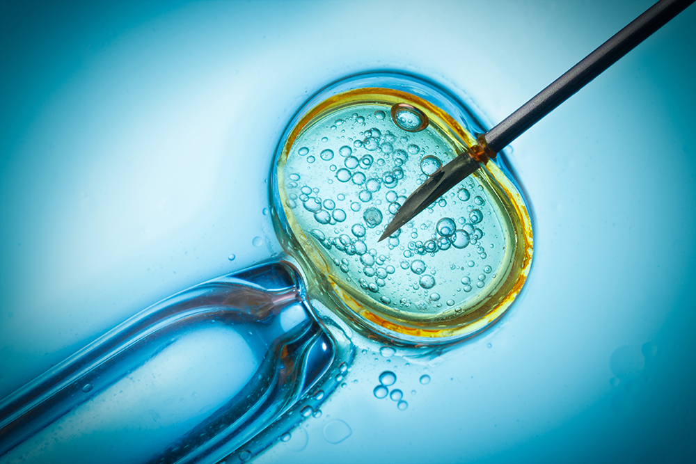 in vitro fertilization