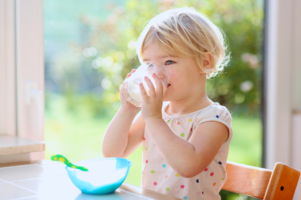 toddler drinking milk