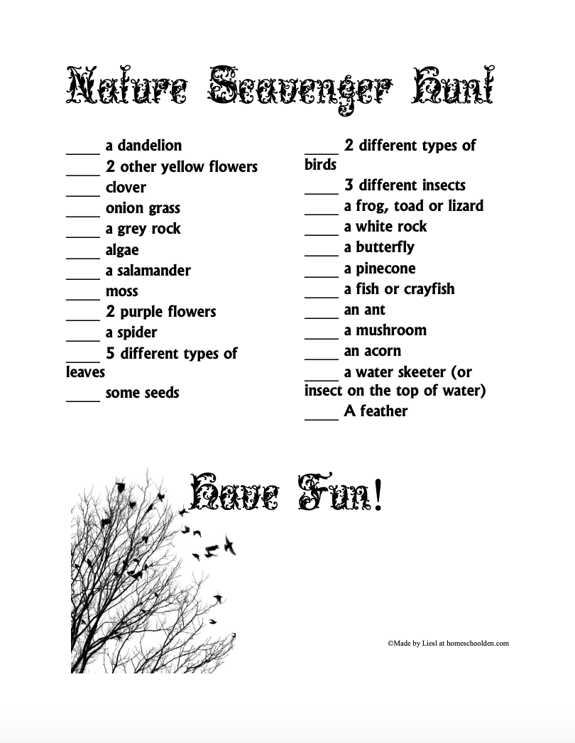 Nature Outdoor Scavenger Hunt